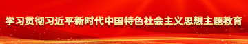 被鸡巴操骚逼啊啊视频学习贯彻习近平新时代中国特色社会主义思想主题教育